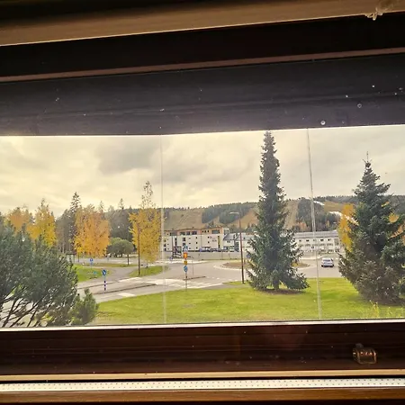 B3 *